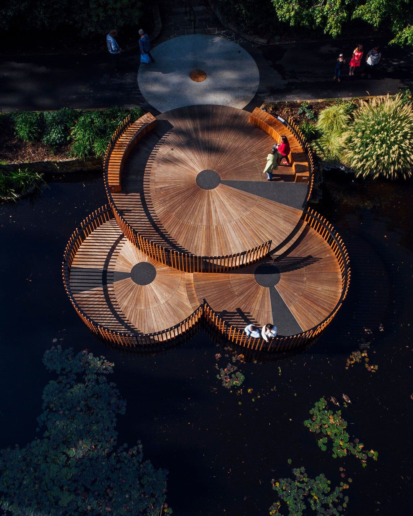 The Lily Pads, Royal Tasmanian Botanic Gardens