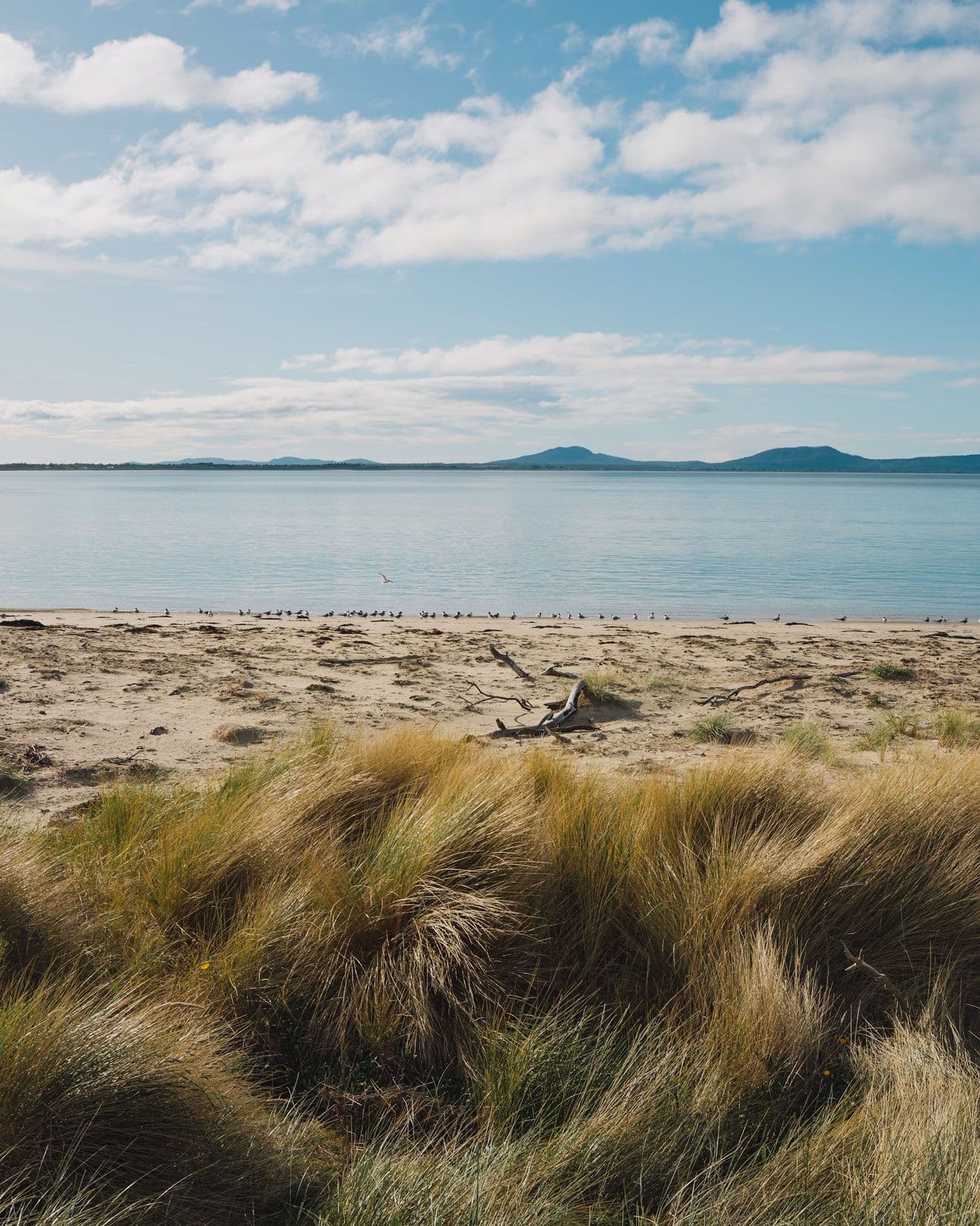Bruny Island, Tasmania